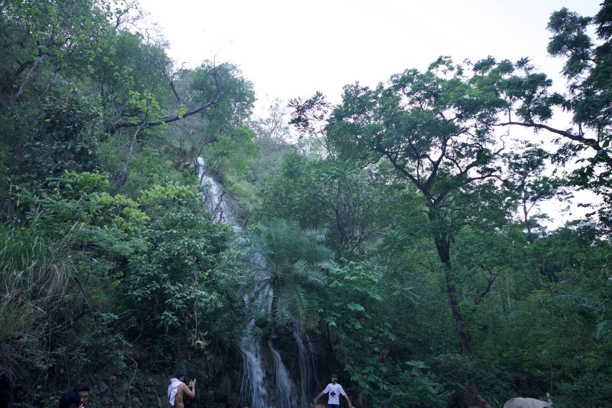 Perfect Stayz Premium Forest Valley Near Waterfall Rishīkesh Esterno foto