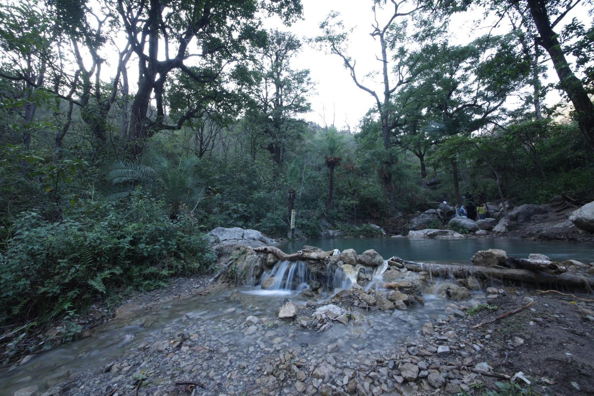 Perfect Stayz Premium Forest Valley Near Waterfall Rishīkesh Esterno foto